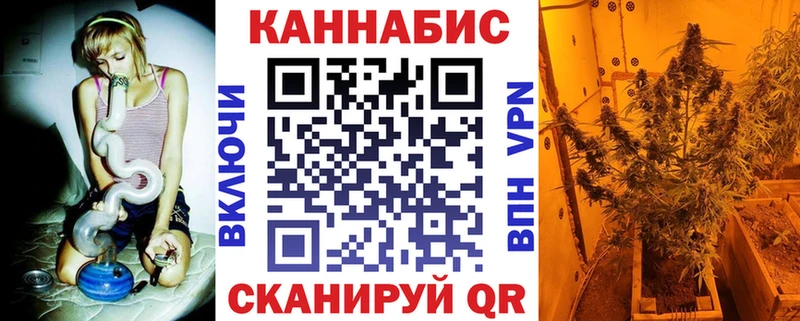дарк нет какой сайт  где найти наркотики  Камышлов  Канабис сатива 